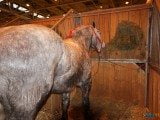 49 EME SALON INTERNATIONAL DE L AGRICULTURE 149