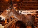 49 EME SALON INTERNATIONAL DE L AGRICULTURE 167
