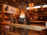 49 EME SALON INTERNATIONAL DE L AGRICULTURE 169