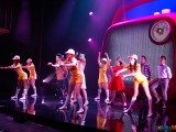Reportage Exclusif: "Salut les Copains", le spectacle musical 51