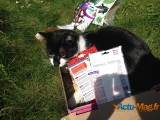 Actu-Mag teste pour vous la Miaoubox 7