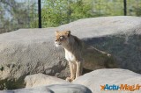 Zoo de Vincennes: Notre tour d'horizon ! 23