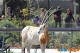 Zoo de Vincennes: Notre tour d'horizon ! 17