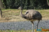 Zoo de Vincennes: Notre tour d'horizon ! 34