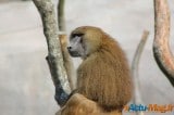 Zoo de Vincennes: Notre tour d'horizon ! 7