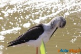 Zoo de Vincennes: Notre tour d'horizon ! 44