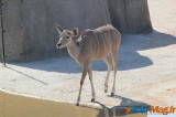 Zoo de Vincennes: Notre tour d'horizon ! 45