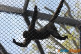 Zoo de Vincennes: Notre tour d'horizon ! 2