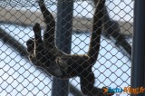 Zoo de Vincennes: Notre tour d'horizon ! 50