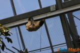 Zoo de Vincennes: Notre tour d'horizon ! 52