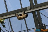 Zoo de Vincennes: Notre tour d'horizon ! 53