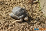 Zoo de Vincennes: Notre tour d'horizon ! 4