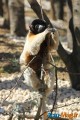 Zoo de Vincennes: Notre tour d'horizon ! 57