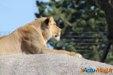Zoo de Vincennes: Notre tour d'horizon ! 30