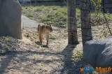 Zoo de Vincennes: Notre tour d'horizon ! 29