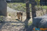 Zoo de Vincennes: Notre tour d'horizon ! 28