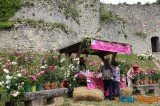 Reportage: Les médiévales de Provins 2014 80