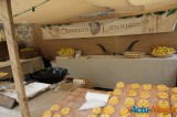 Reportage: Les médiévales de Provins 2014 41