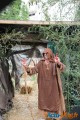 Reportage: Les médiévales de Provins 2014 15
