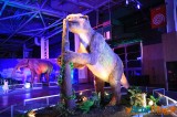 Un voyage dans le temps vers l’ère des dinosaures 10