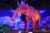 Un voyage dans le temps vers l’ère des dinosaures 12
