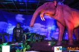 Un voyage dans le temps vers l’ère des dinosaures 13