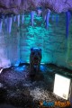Un voyage dans le temps vers l’ère des dinosaures 14