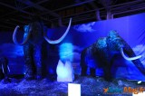 Un voyage dans le temps vers l’ère des dinosaures 16