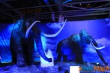 Un voyage dans le temps vers l’ère des dinosaures 17