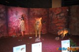 Un voyage dans le temps vers l’ère des dinosaures 1