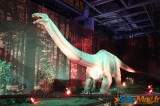 Un voyage dans le temps vers l’ère des dinosaures 20