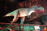 Un voyage dans le temps vers l’ère des dinosaures 22