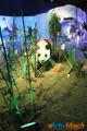 Un voyage dans le temps vers l’ère des dinosaures 2