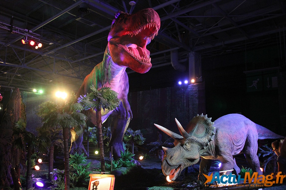 Un voyage dans le temps vers l’ère des dinosaures