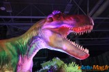 Un voyage dans le temps vers l’ère des dinosaures 30