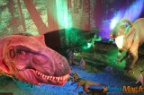 Un voyage dans le temps vers l’ère des dinosaures 29