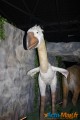 Un voyage dans le temps vers l’ère des dinosaures 8