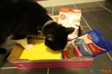 On a testé pour vous la Miaou Box 9