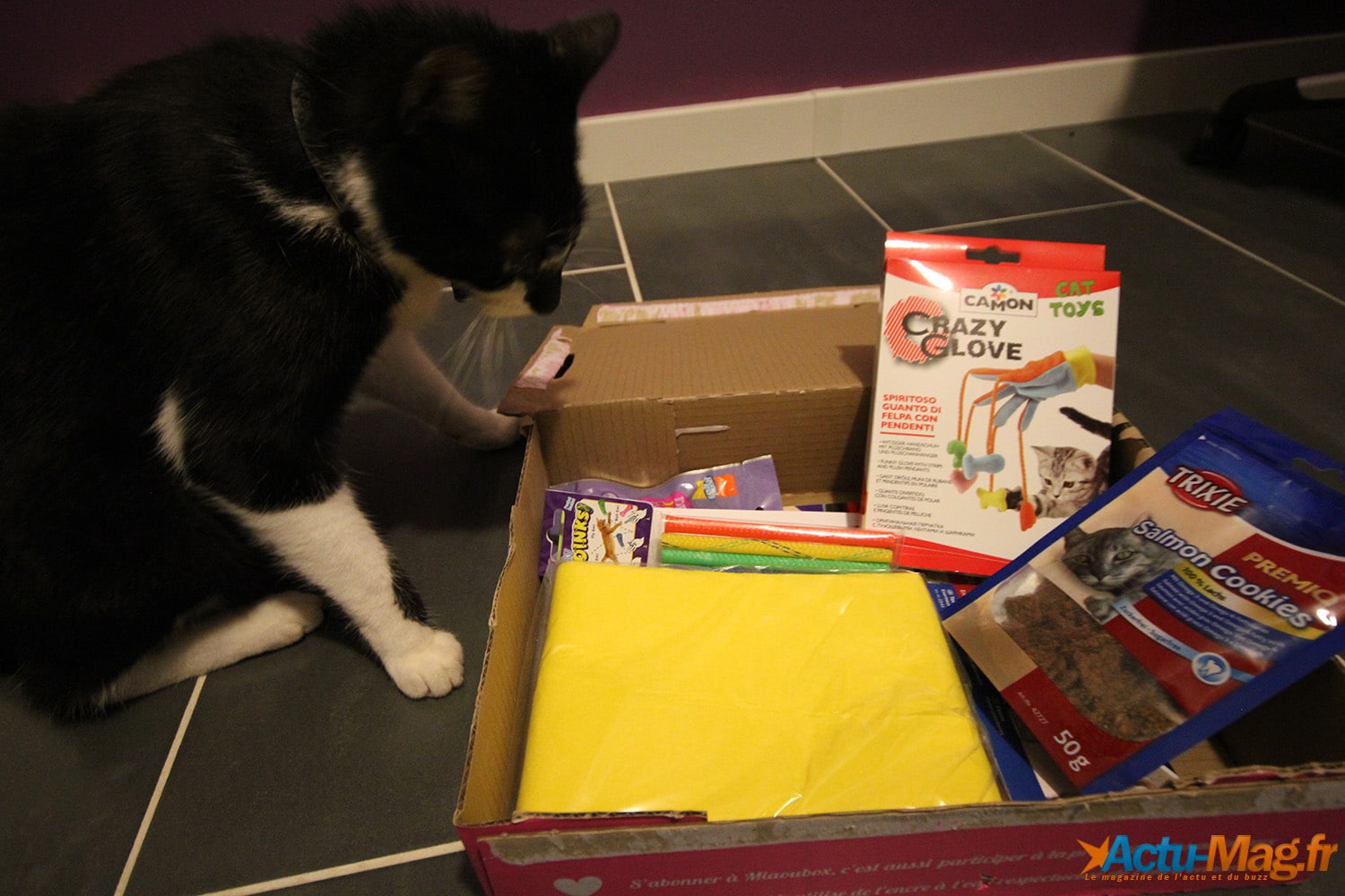 On a testé pour vous la Miaou Box