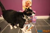 On a testé pour vous la Miaou Box 10