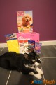 On a testé pour vous la Miaou Box 2