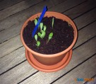 On a testé pour vous la box My City Garden 4