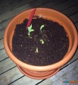 On a testé pour vous la box My City Garden 6