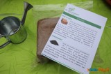 On a testé pour vous la box My City Garden 2