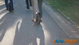 On a testé pour vous le "Solowheel" 5
