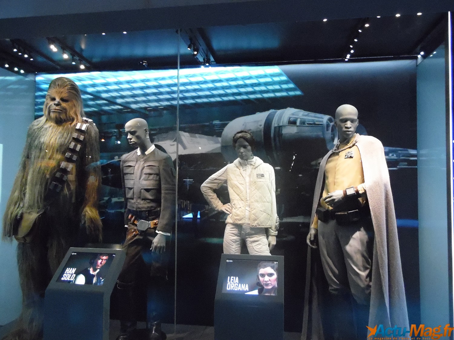 Star Wars: Peter Mayhew est hospitalisé 1