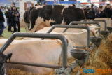 Le salon de l'agriculture c'est fini... retour sur cette 52éme exposition 3