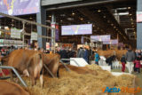 Le salon de l'agriculture c'est fini... retour sur cette 52éme exposition 10