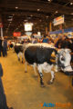 Le salon de l'agriculture c'est fini... retour sur cette 52éme exposition 11