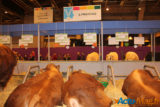 Le salon de l'agriculture c'est fini... retour sur cette 52éme exposition 13
